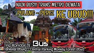 COBA NAIK Teman Bus/TRANS METRO DEWATA Ke UBUD | Puri Ubud - Pura Saraswati Ubud - Pasar Ubud