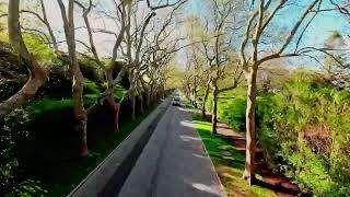 Hamptons Drone FPV -Wyandanch Lane Southampton Village New york