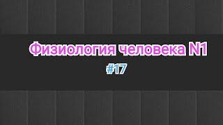 Физиология ЦНС -часть. Принципы координации в ЦНС: Доминанта, обратной связи, реципрокности и др.