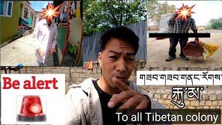 Be alert  to all Tibetan colony || bir || india || tibetan vlogger || tibetan youtuber