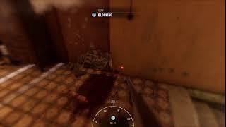 Insurgency Sandstorm - Squished by a door