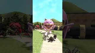 ZOOCHOSIS MUTATED ANIMALS VS SUPER SONIC SHADOW AMI ROSE KNUCKLES in Gmod ! WHO IS YOUR FAVORITE ?