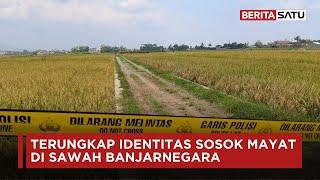 Terungkap Identitas Sosok Mayat di Sawah Banjarnegara | Beritasatu