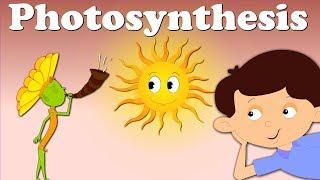 Photosynthesis | #aumsum #kids #science #education #children