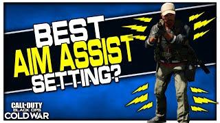 Which Aim Assist Type is Best? | (New Settings Added to Cold War!)