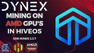 Ultimate Dynex DNX GPU Mining Guide   DynexSolve   AMD   HiveOS