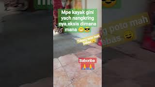 Main di Kosan Cewek...#shorts #subscribe #trending #bali #viral