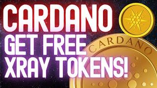 Ray Network (XRAY) on Cardano & Free Airdrop When Staking ADA! Are You Aware of This DeFi Project?
