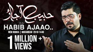 Nohay 2018 - Habib ع Aa Jao | Mir Hasan Mir New Noha 2018-19 | Muharram 1440H Nohay | Nohay 2019