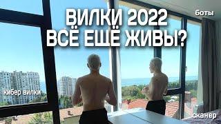 Букмекерские вилки 2021-2022 | Стоит ли начинать вилковать? | Какие вилки стоит выбрать