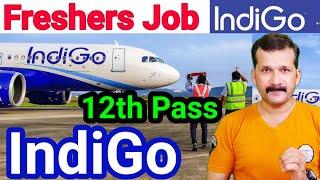 Airlines Airport Job Vacancy 2021| Indigo Airlines Vacancy 2021 | Cabin Crew Vacancy 2021 | @flyairAcademy