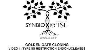Golden Gate Cloning Video 1: Type IIS Restriction Endonucleases