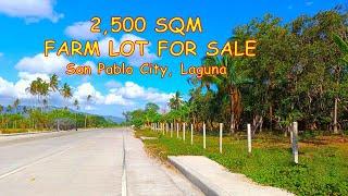 NOT AVAILABLE !  2,500 SQM. LOT FOR SALE ( PROP.# 169) ALONG DIVERSION ROAD, SAN PABLO CITY, LAGUNA