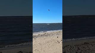 Nags head beach barrier islands north carolina