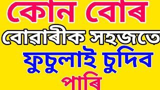 কোন বোৰ বোৱাৰীক সহজতে ফুচুলাব পাৰি // Assamese GK Questions And Answers //Assamese GK