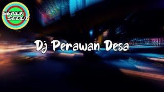 DJ PERAWAN DESA SLOW TIKTOK REMIX VIRAL 2022 | slowmotion video