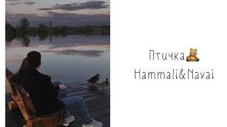 Птичка - Hammali & Navai | Текст песни