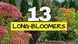 These are the Longest Blooming Perennials in my Garden (I Tracked Them All Year)