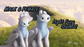 Male & Female Light Fury Sounds