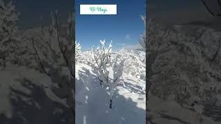 winters in Kotkhai(Bakhol)shimla Hp