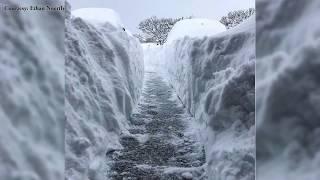 Erie,PA Record Snow Christmas 2017