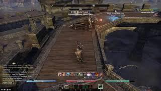 ESO - FILTHEE CASUAL STYLE - FIRST DAY OF NEW CAMP PVP ACTION - HYBRID DK