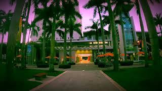 University of Miami Campus Tour HD