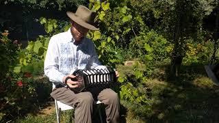 Orange in Bloom (Jeffries Anglo concertina)