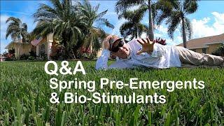 Spring Lawn FAQs: Pre-Emergents and Bio-Stimulants