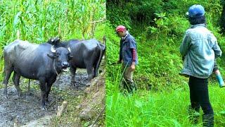 Natural lifestyle of rural Nepal