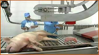 How Does A Pig Slaughter Line Work ? - Sausage Processing | Farming Documentary