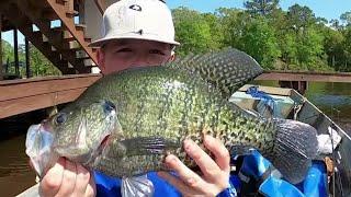 2 HOURS OF SLAB CRAPPIE FISHING UNDER DOCKS USING CRAPPIE JIGS & LIVE MINNOWS‼️