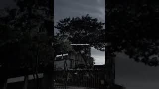 Story Wa Be Alright - Dean Lewis Lyrics Viral TikTok | Edit Vn