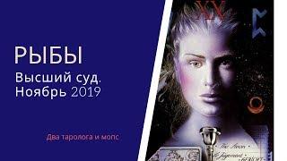 Рыбы. Высший суд. Ноябрь 2019