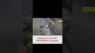 ️ Спіймали "на гарячому"! СБУ затримала ухилянтів-лихачів на Одещині!