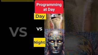 Programming at Day vs Night 