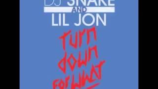 Turn Down For What   Lil Jon Ft  Juicy J, 2 Chainz, French Montana, Pitbull & Ludacris MegaMix