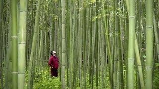 Japan by Bicycle (Complete Documentary)