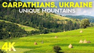 Unique Carpathians - Discover this Beautiful Area in Ukraine - 4K Documentary Film