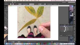 How to Cut Out an Image in Illustrator