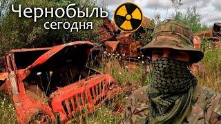 Чернобыль сегодня - что если жить в Зоне Отчуждения? Путь в Припять