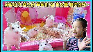 우리집 막내 햄스터 푸딩이 집 청소하는 날! 사랑이가 직접 햄스터 푸딩이 집 청소를 깨끗하게 해줬어요^^ [사랑아놀자 LOVE&TORY]