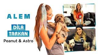 Dila Tarkan Doğruer ve Köpekleri Astro & Peanut ile Birlikteyiz