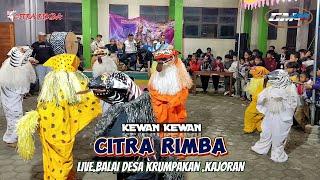 KEWAN KEWAN BOCIL  TOPENG IRENG CITRA RIMBA LIVE BALAI DESA KRUMPAKAN KAJORAN