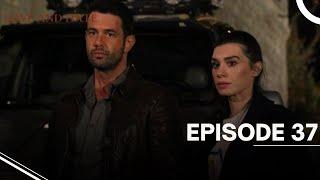 Love and Hate - Episode 37 - English Subtitles - New Turkish Drama Series 2024