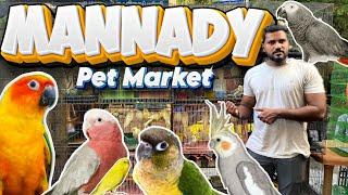  Mannady Pet Market-ல Pets & Birds | Starting @ 100 Rs!  |  #mrhobbysist #pets #birds #petmarket