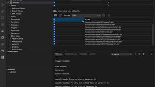 0 how to connect oracle database from visual studio code