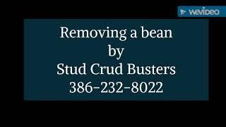 Horse bean removal horse hygiene and cleaning