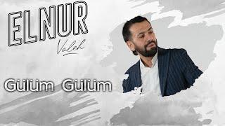 Elnur Valeh - Gulum Gulum (Official Audio)