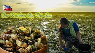 Foraging for Sikad-sikad Snails (Mamulantak) During Low-tide | Province Life Philippines